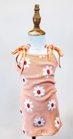 Lily Peach Ribbed Dress