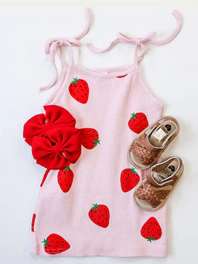 Strawberry Fest Dress