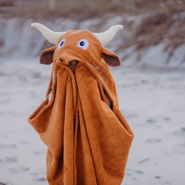 Childrens Hooded Towels